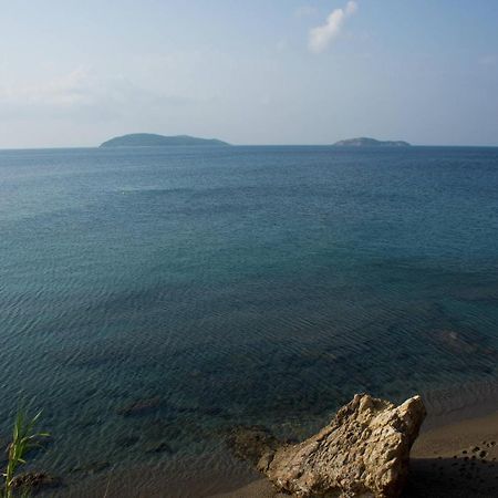 Aphrodite Skiathos Megali Ammos  Exterior photo